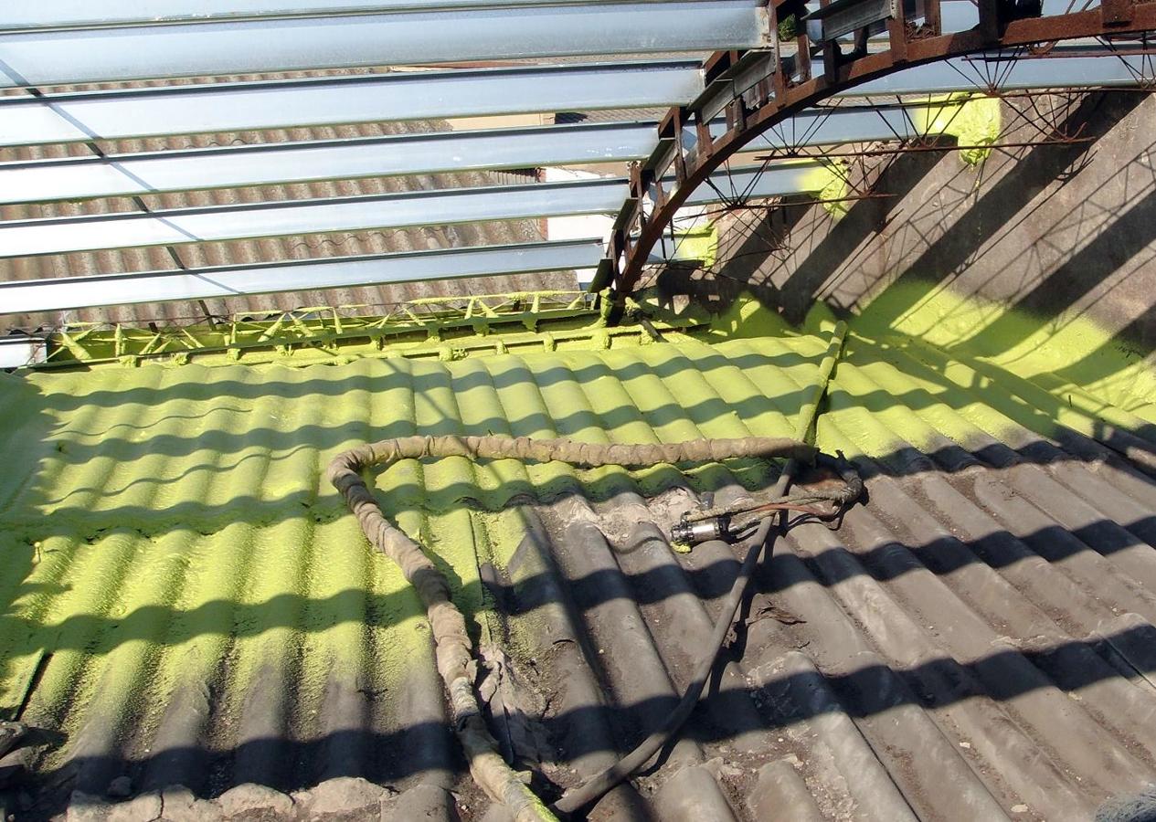 Conservas Vis de Azagra (Navarra)