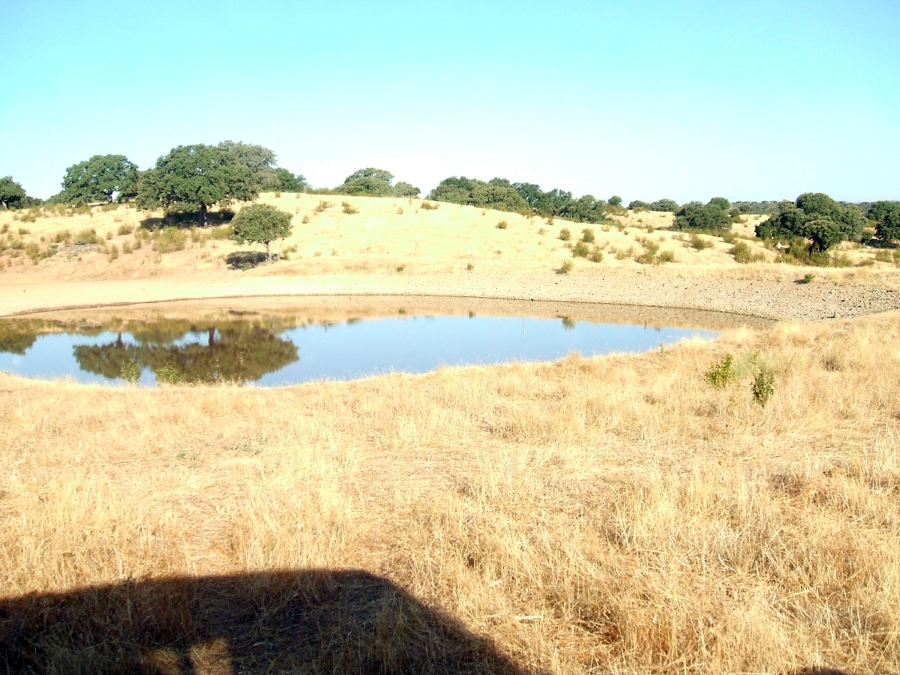 CONSTRUCCION DE CHARCAS Y EMBALSES