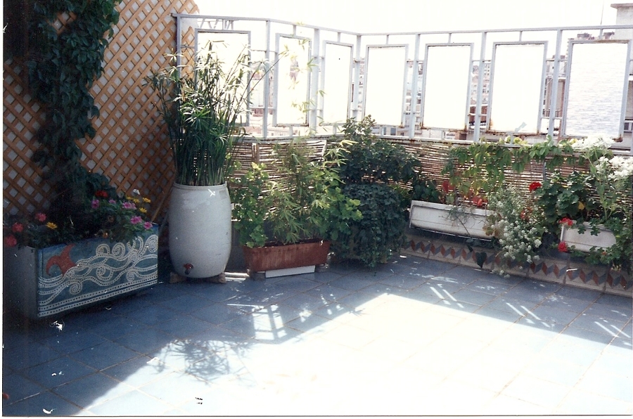 Construcción de terraza en Tenor Fleta