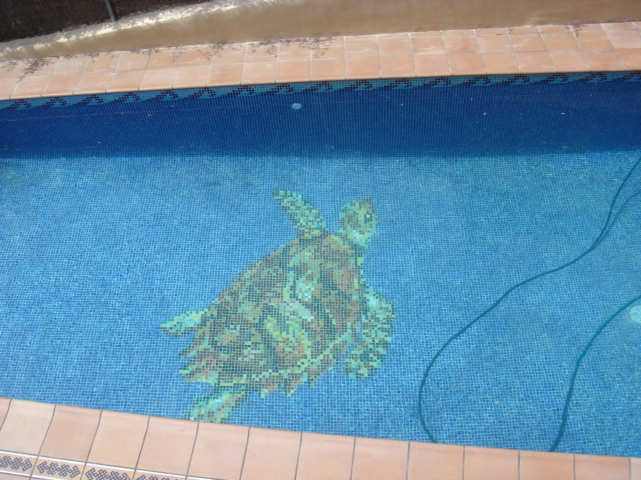 Construccion piscina