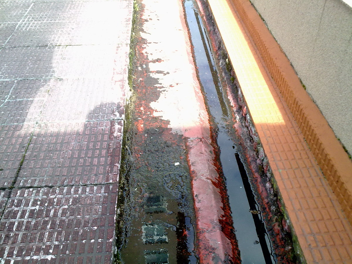 CONSTRUCION DE UNA VIVIENDA UNIFAMILIAR EN CARRAL