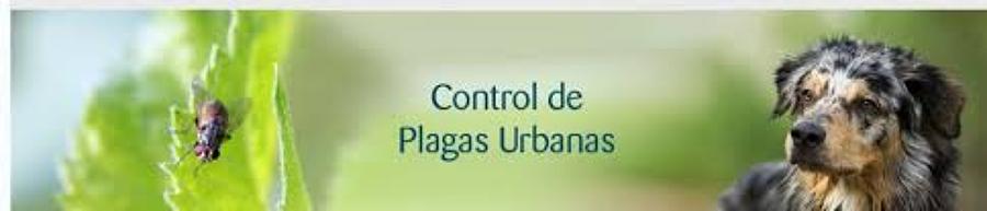 CONTROL DE PLAGAS 