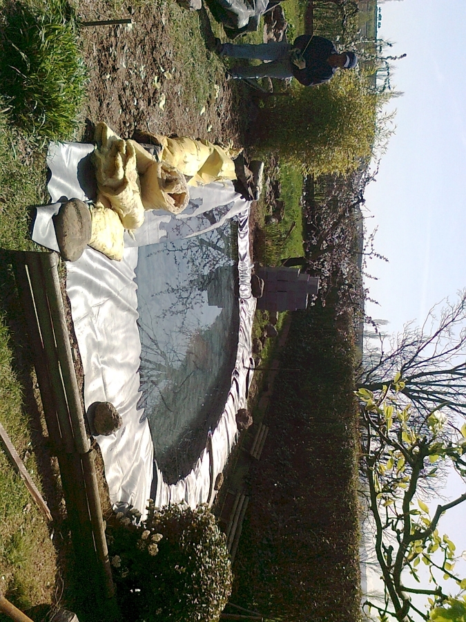 Conversión de una charca en finca 