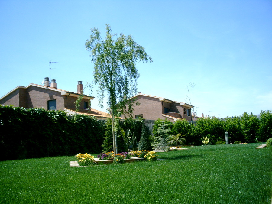 CREACIÓN ESPACIOS VERDES