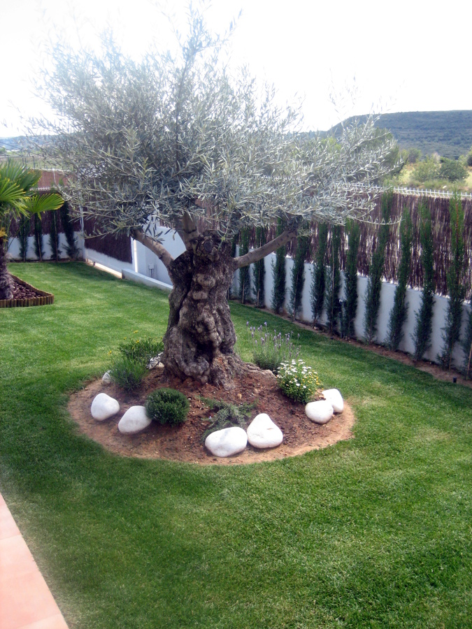 CREACION Y MANTENIMINETO DE JARDINES