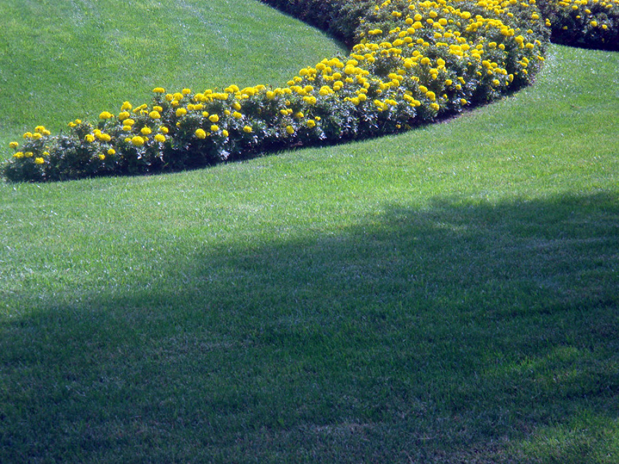 Cuidamos sus zonas verdes