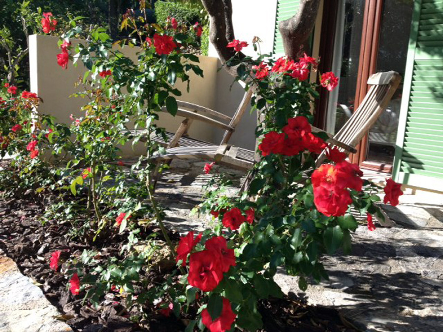 Da color a tu jardin!