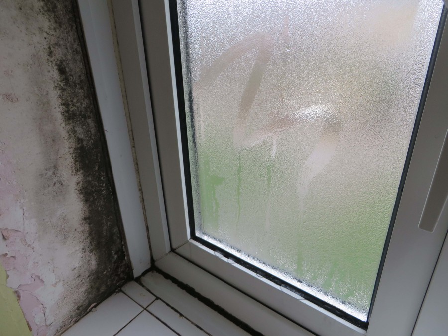 Humedad por Condensación