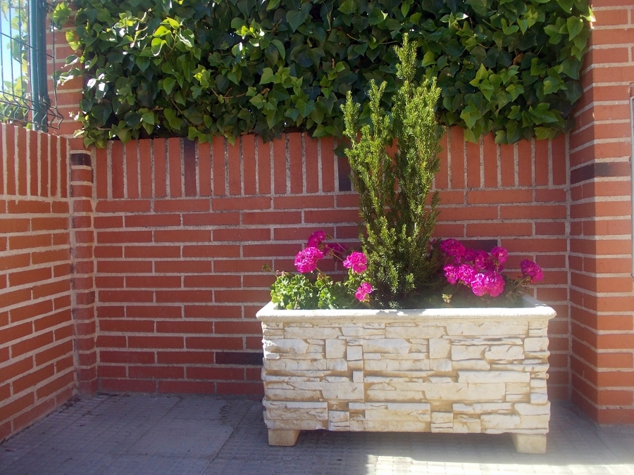 Decoración con macetas