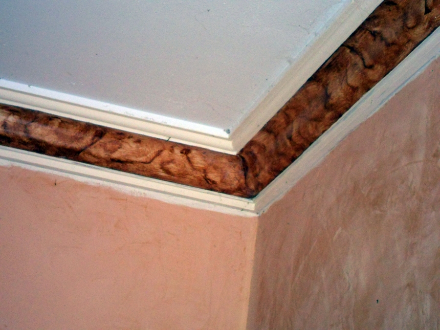 decoracion de molduras