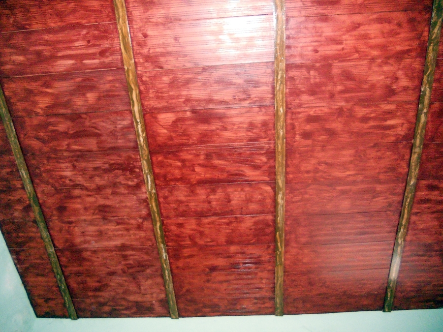 decoracion de techos