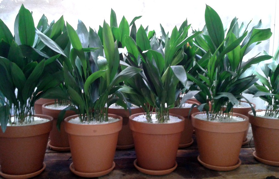 DECORACION DE TIENDAS