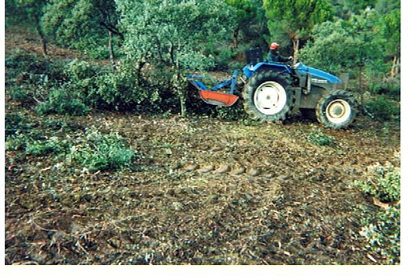 DESBROCE DE PARCELAS Y TRABAJOS FORESTALES