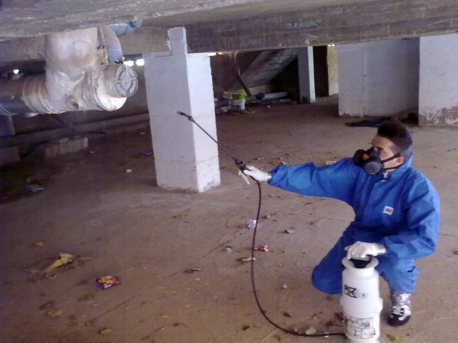 desinsectacion cucarachas