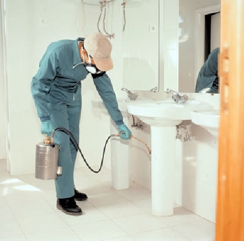 Desinsectaciónes, Desinfecciones