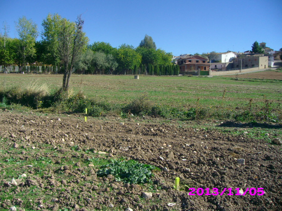 Deslinde de parcelas en rústica