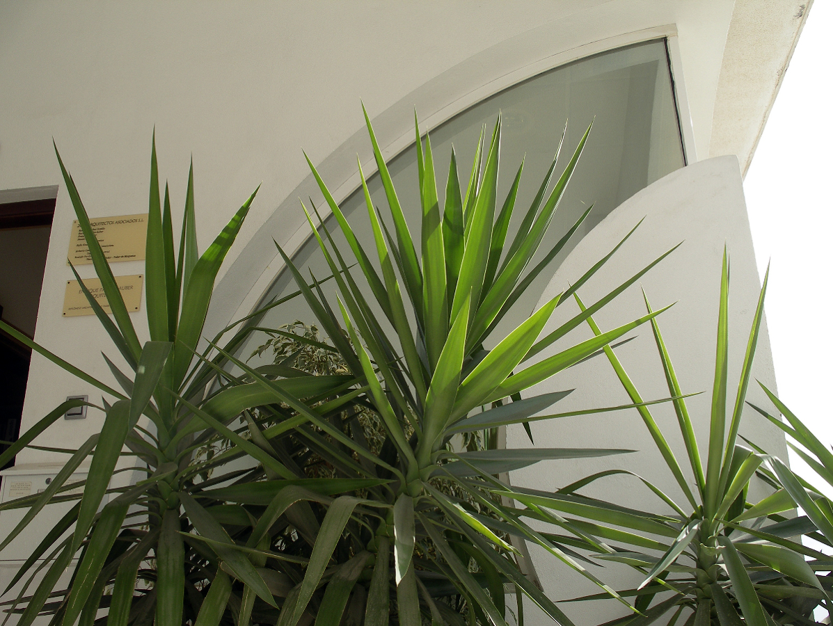 Despacho arquitectura Arroyo de la Miel