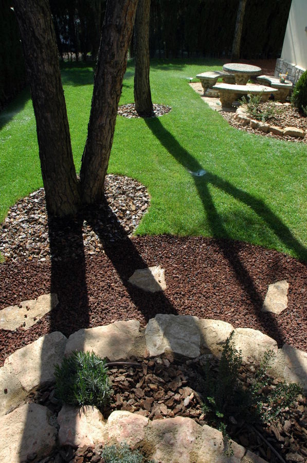 detall de contrastos en un jardí