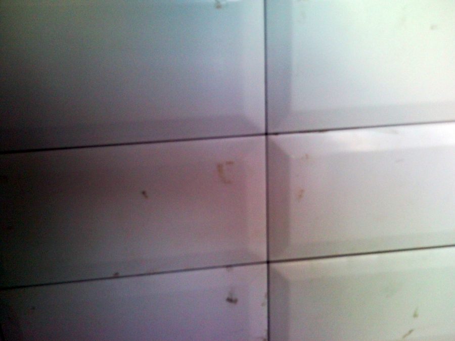 detalle alicatado