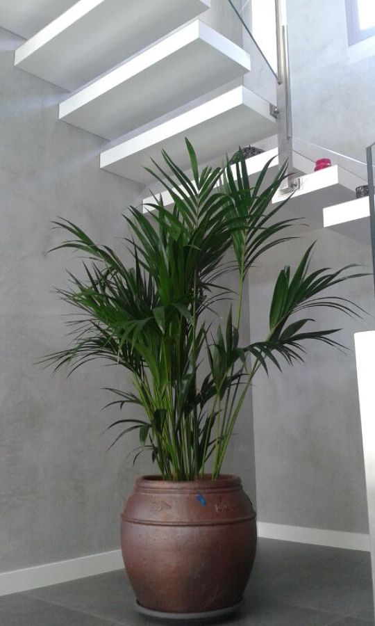 DETALLE ESCALERA VOLADA