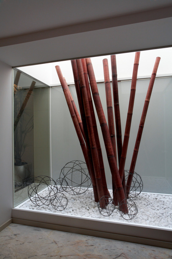 Detalle patio interior