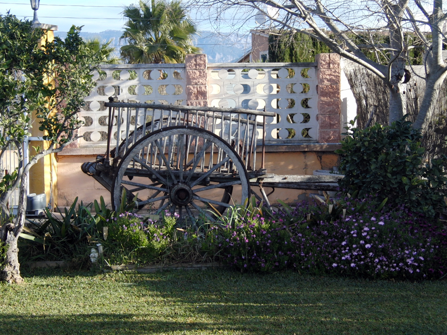 Detalle vista delantera del jardin