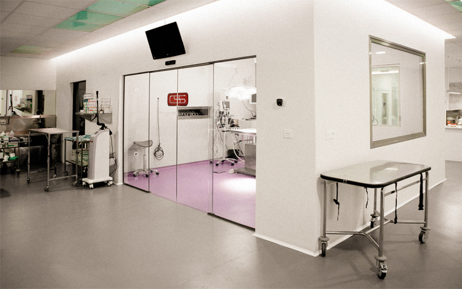 DISEÑO DE HOSPITAL VETERINARIO