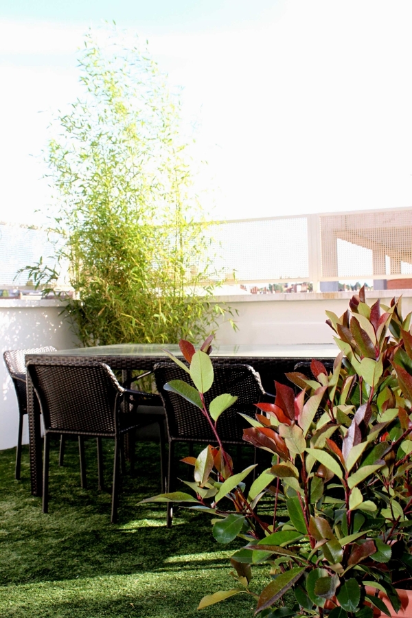 Diseño de jardín en ático. Jardín urbano. Madrid. Aravaca.