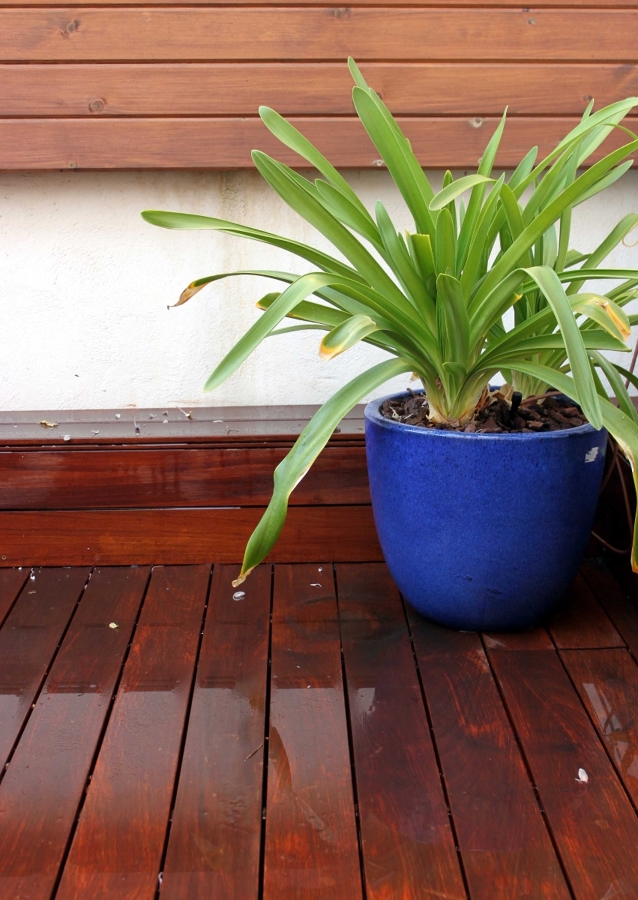 Diseño de jardín en ático. Jardín urbano. Madrid.