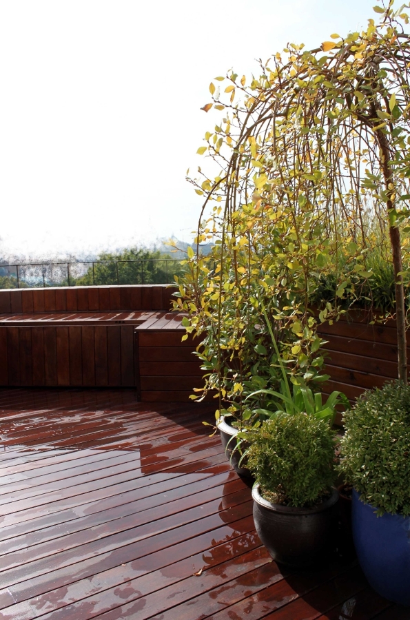 Diseño de jardín en ático. Jardín urbano. Madrid. 