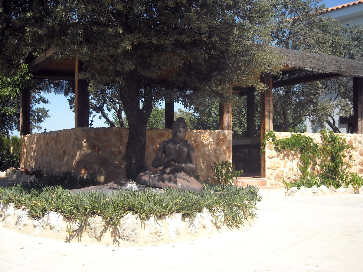 diseño y paisajismo