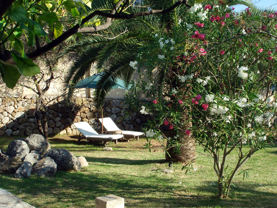 Disfruta y relaja en su jardin