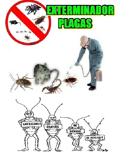 diversidad de amplio espectro