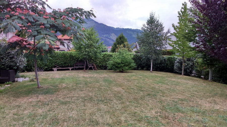 Jardin acondicionado