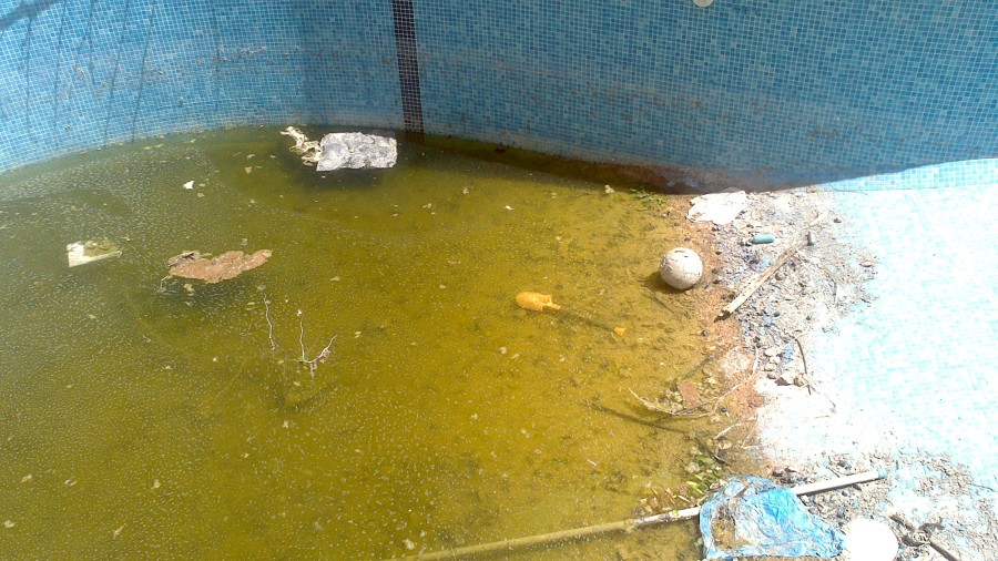 limpieza de piscina y jardin comunitaria
