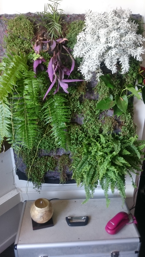 Cuadro vivo interior vivienda particular - Palma.