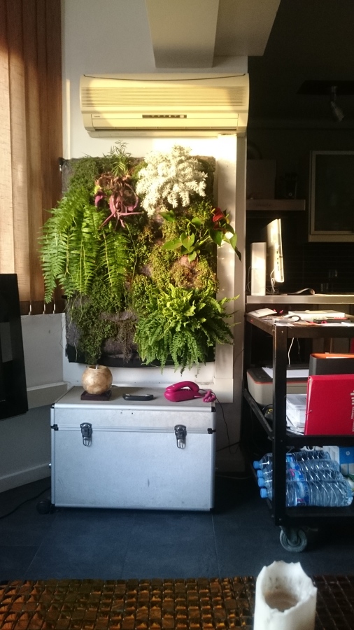 Cuadro vivo interior vivienda particular - Palma.