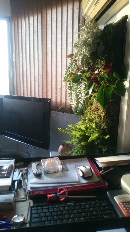 Cuadro vivo interior vivienda particular - Palma.