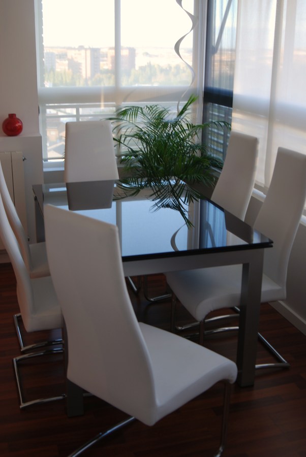 Salón piso Mirasierra. (2008)