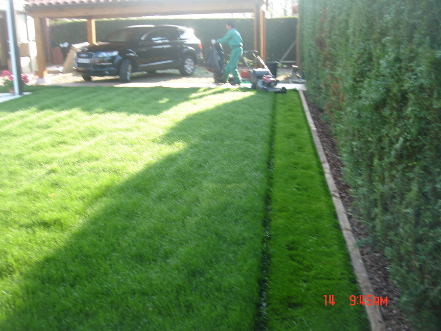 MANTENIMIENTO DE CÉSPED-TEPES. PRIMEROS CORTES