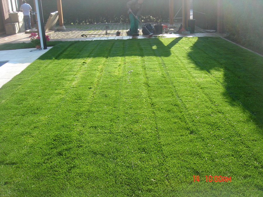 MANTENIMIENTO DE CÉSPED-TEPES. PRIMEROS CORTES