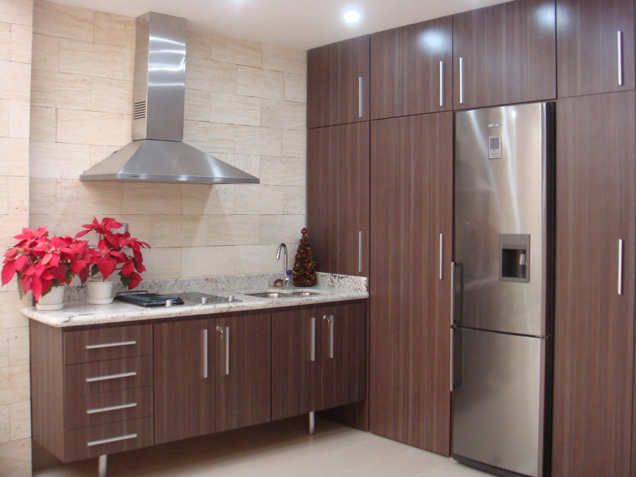 Reforma Patio Trasero Casa Gomez