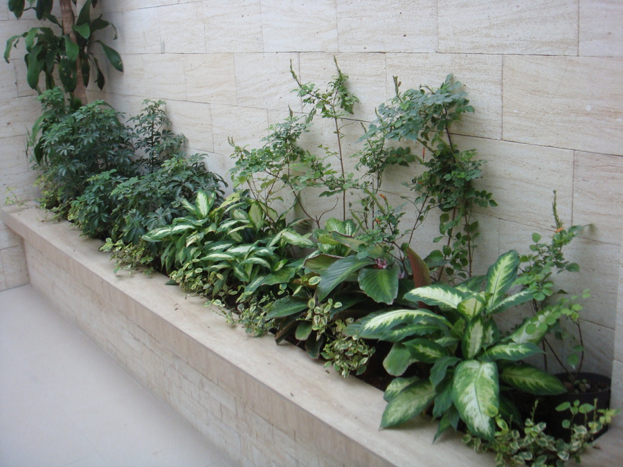 Reforma Patio Trasero Casa Gomez