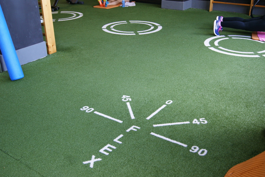 Gimnasio Arena Alicante