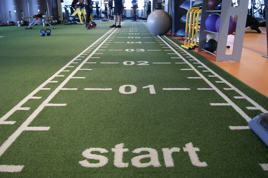 Gimnasio Arena Alicante