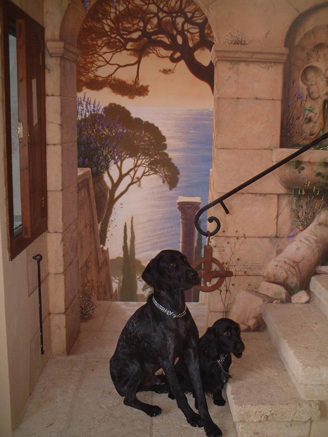 Pared, Bajada al mar 01