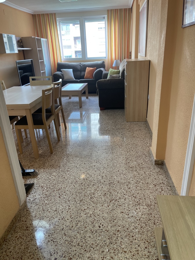 Vitrificados domesticos