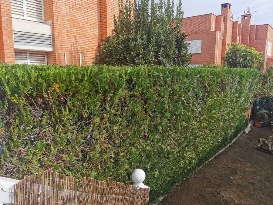 Puesta a punto jardín