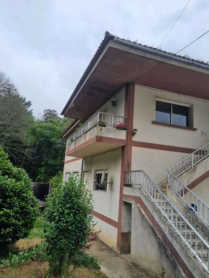 Valerio Reformas y Pintura