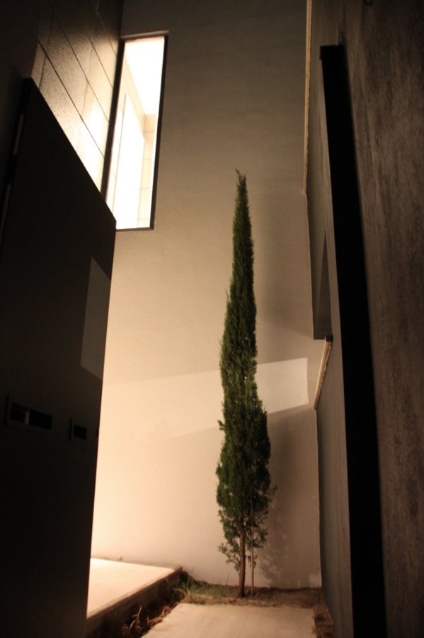 edificación e interiorismo